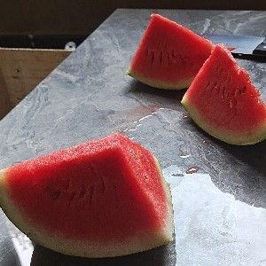 宋肖鵬