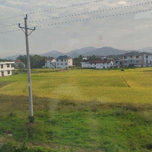 年華