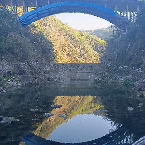 張勝
