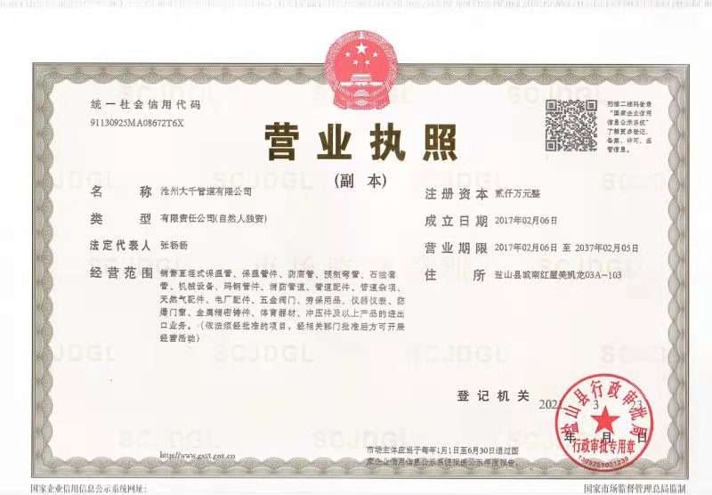 滄州大千管道有限公司