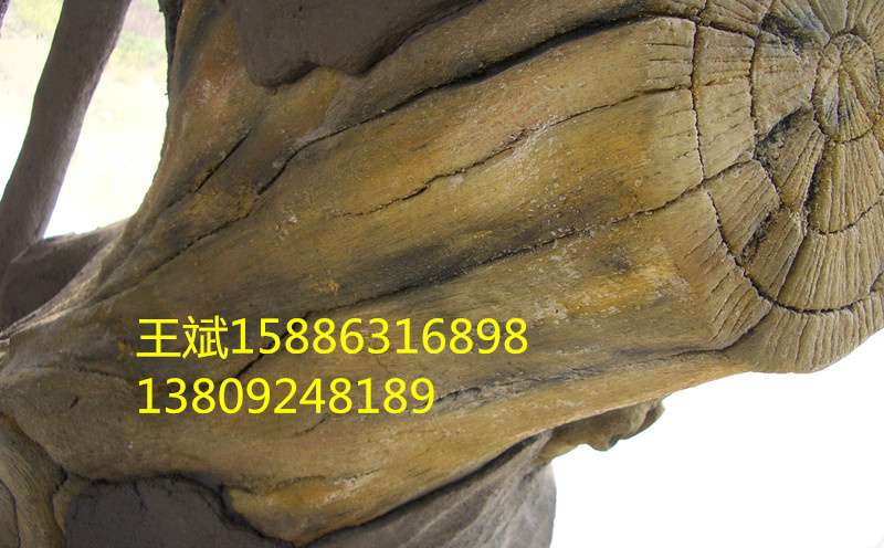 長(zhǎng)沙市雨花區(qū)旺斌園林景觀施工經(jīng)營(yíng)部