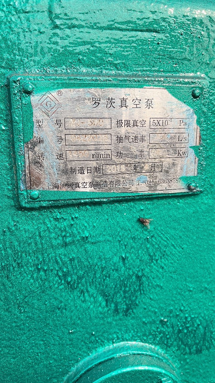 羅茨真空泵